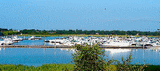 Lieu pour THE CHARLESTON IN-WATER BOAT SHOW: Brittlebank Park and Bristol Marina (Charleston, SC)