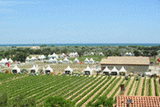 INRA Domaine de Pech-Rouge (Narbonne) http://www.inra.fr/