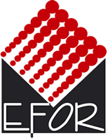 Efor Fair & Organization
