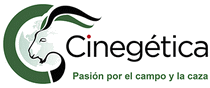 logo pour CINEGTICA 2025
