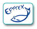 logo pour EFTTEX 2024