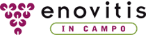 logo for ENOVITIS IN CAMPO 2024