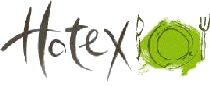 logo fr HOTEX 2024
