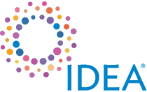 logo for IDEA 2024
