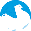 logo for NATIONAL PIGEON EXHIBITION 2024