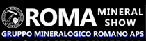 logo for ROMA MINERAL SHOW 2024