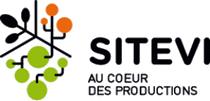logo for SITEVI 2025
