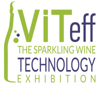 logo for VITEFF 2025