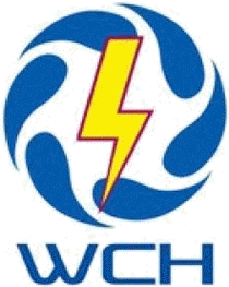 logo pour WCH 2024