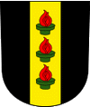 Wetzikon