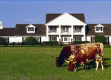 Southfork Ranch