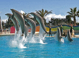 Ort der Veranstaltung FRANCE CE ANTIBES: Marineland Antibes (Antibes)