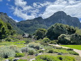 Ubicacin para INTERNATIONAL LUXURY TRAVEL MARKET AFRICA: Kirstenbosch National Botanical Garden (Ciudad del Cabo)