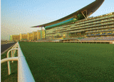 Venue for AL FARES - INTERNATIONAL EQUINE EXHIBITION: Meydan Racecourse (Dubai)