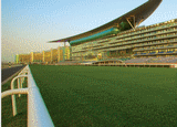 Meydan Racecourse