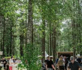 Lieu pour ELMIA WOOD: Bratteborg Forest (Jnkping)