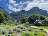 Kirstenbosch National Botanical Garden