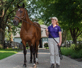 Venue for LEXINGTON GUN SHOW: Kentucky Horse Park (Lexington, KY)