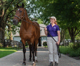 Ort der Veranstaltung LEXINGTON GUN SHOW: Kentucky Horse Park (Lexington, KY)