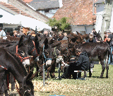 Lieu pour FOIRE AUX NES ET AUX MULES DE LIGNIRES: Place du Champ de Foire (Lignires)