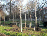 Venue for THE DECORATIVE FAIR: Battersea Park (London)