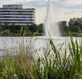 Lieu pour VIVRE CT SUD -MONTPELLIER: Bassin Jacques Coeur (Montpellier)