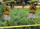 Ort der Veranstaltung NAIROBI INTERNATIONAL TRADE FAIR (NITF): Jamhuri Park (Nairobi)