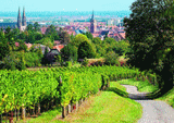 Lieu pour JADH: VVF Plaine d'Alsace Obernai Strasbourg (Obernai)