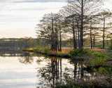 Ort der Veranstaltung VALDOSTA, GA - GUN SHOW: Lowndes County Fairgrounds (Valdosta, GA)