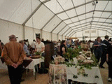 Venue for FIERA DI U CASGIU: Stade Paul Giacobbi (Venaco)