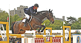 Lieu pour ROYAL WINDSOR HORSE SHOW: The Royal Mews - Windsor Castle (Windsor)