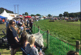 Wolsingham Showground