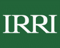 IRRI (International Rice Research Institute)