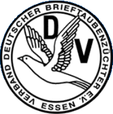 Todos los eventos del organizador de DBA - DEUTSCHE BRIEFTAUBEN-AUSSTELLUNG