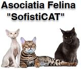 Tous les vnements de l'organisateur de SOFISTICAT