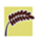 logo pour AGRICULTURE TABRIZ 2025
