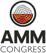 logo pour AMM - ASTANA MINING AND METALLURGY CONGRESS 2024