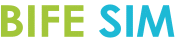 logo for BIFE - SIM 2024