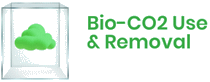 logo for BIO-CO2 USE AND REMOVAL - BIOENERGIA 2025