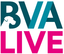 logo de BVA LIVE 2025