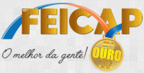 logo for FEICAP 2022