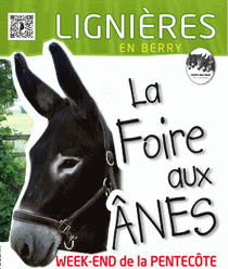 logo for FOIRE AUX NES ET AUX MULES DE LIGNIRES 2025