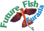logo de FUTURE FISH EURASIA 2026