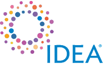 logo for IDEA 2027