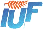 logo for INTERNATIONAL UNIVERSITY FAIR OF GREECE - THESSALONIKI 2024