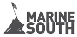 logo for MARINE SOUTH MILITARY EXPOSITION 2023