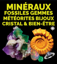 logo fr SALON MINERALEVENT 2026