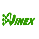 logo for VINEX 2022