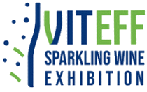 logo for VITEFF 2025